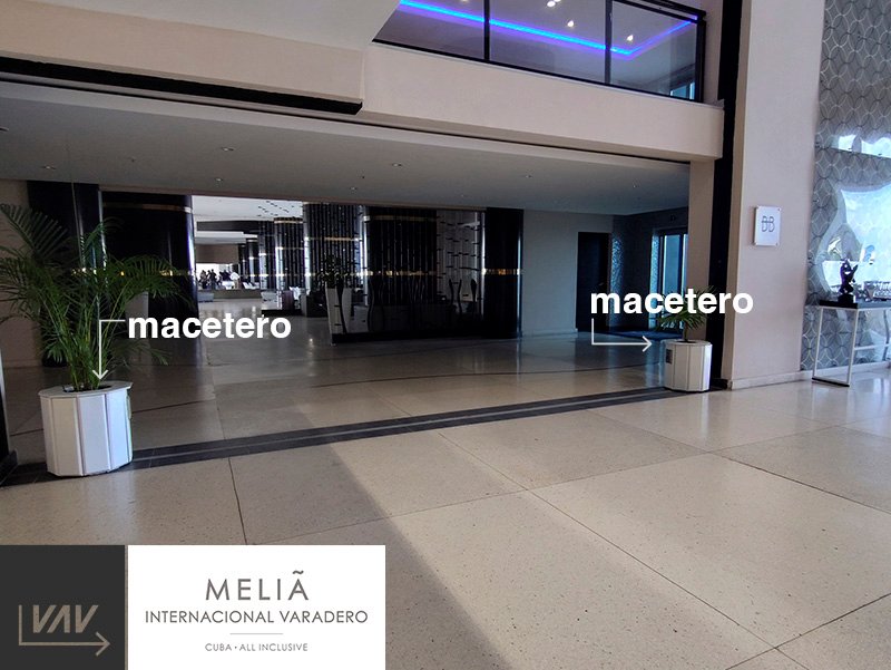VAV_webHOME-imagen_MacetroMelia-lobby